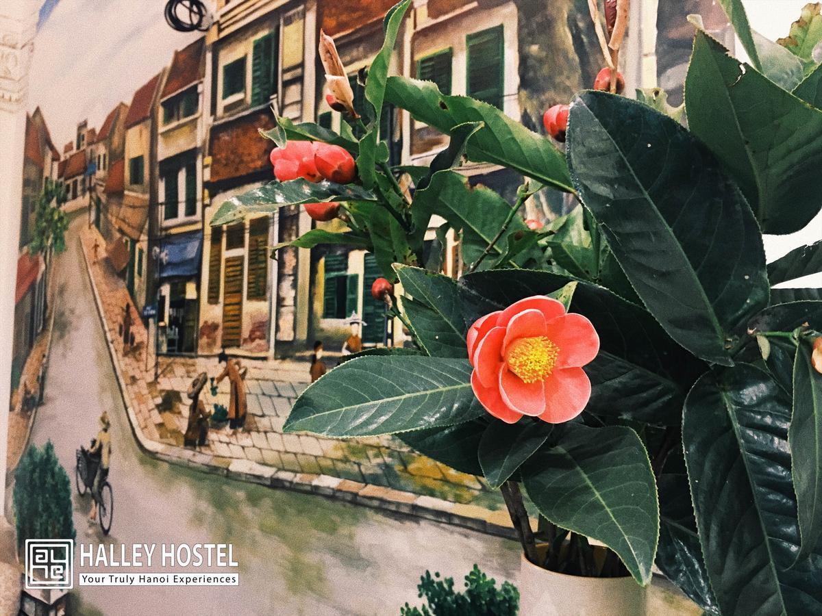 Halley Hostel Hanoi Dış mekan fotoğraf